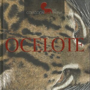 Ocelote