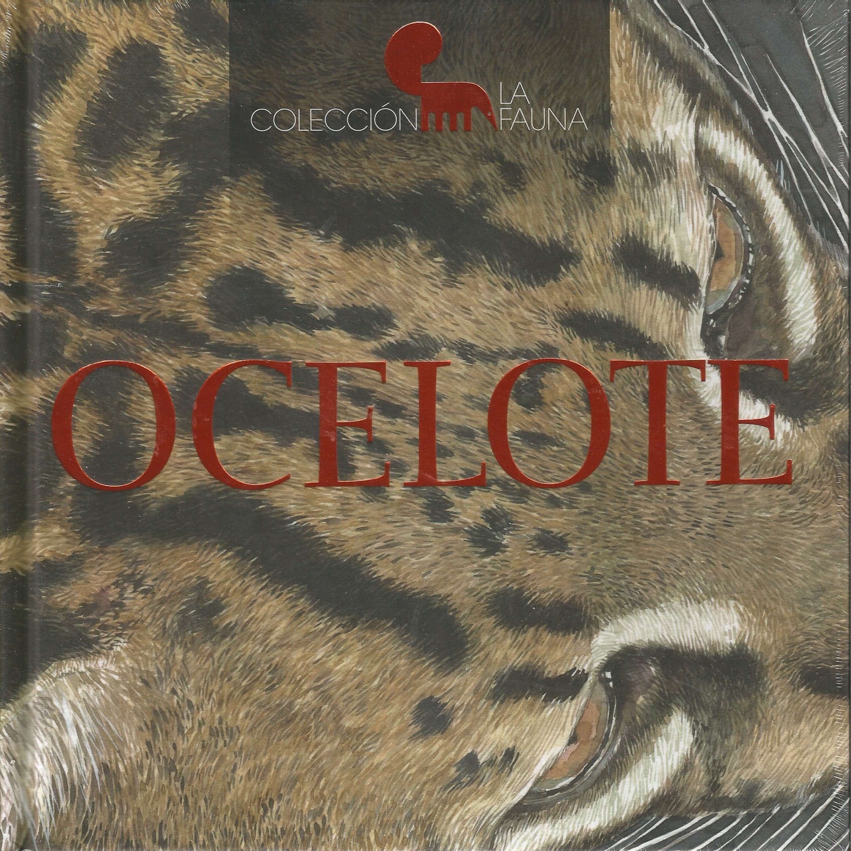 Ocelote